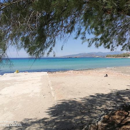 Saronida Beach N Fun Bbq Fireplace חדר תמונה